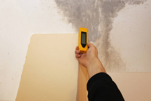 Best Mold Documentation for Insurance Claims  in Grinnell, IA