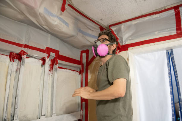 Best Emergency Mold Remediation  in Grinnell, IA