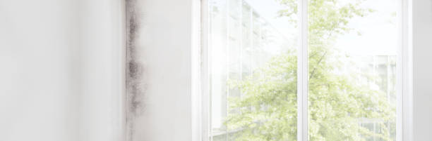 Best Forensic Mold Investigation  in Grinnell, IA