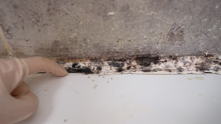Best Post-Remediation Verification Testing  in Grinnell, IA